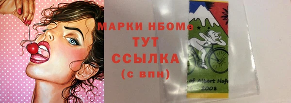 стаф Аркадак