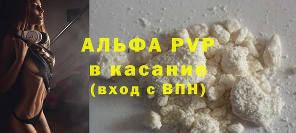 стаф Аркадак
