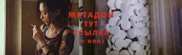 стаф Аркадак