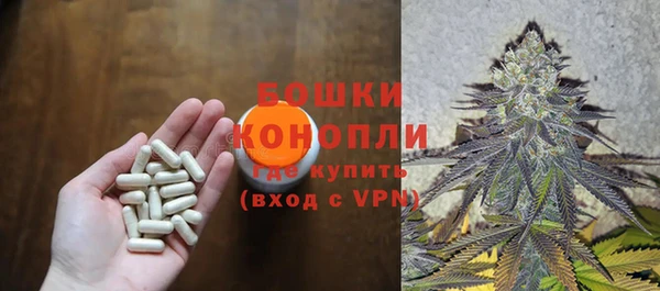 стаф Аркадак