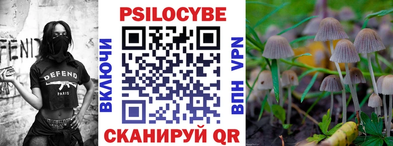 Псилоцибиновые грибы Cubensis как найти наркотики Карачаевск